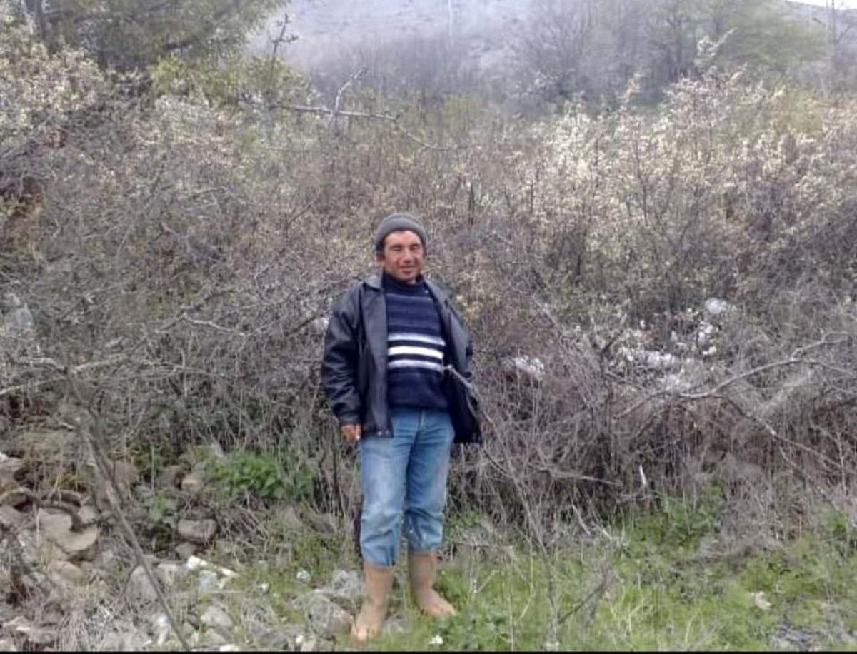 Çankırı\'da Dananın Saldırısı Sonucu Ağır Yaralanan Adam Tedavi Altına Alındı