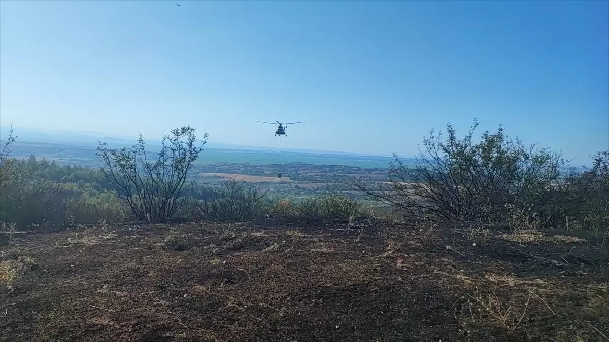 Edirne\'de çıkan orman yangını söndürüldü