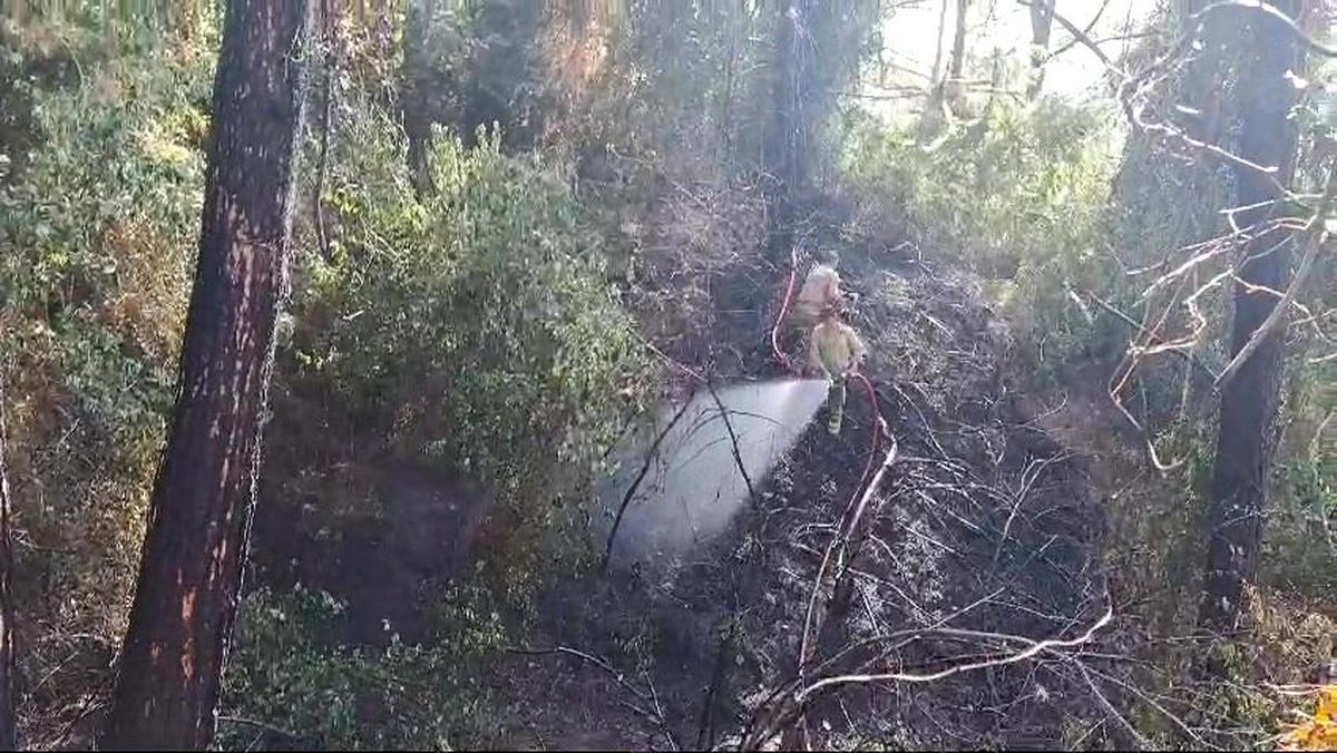 Hatay\'ın Dörtyol ilçesinde orman yangını kontrol altına alındı