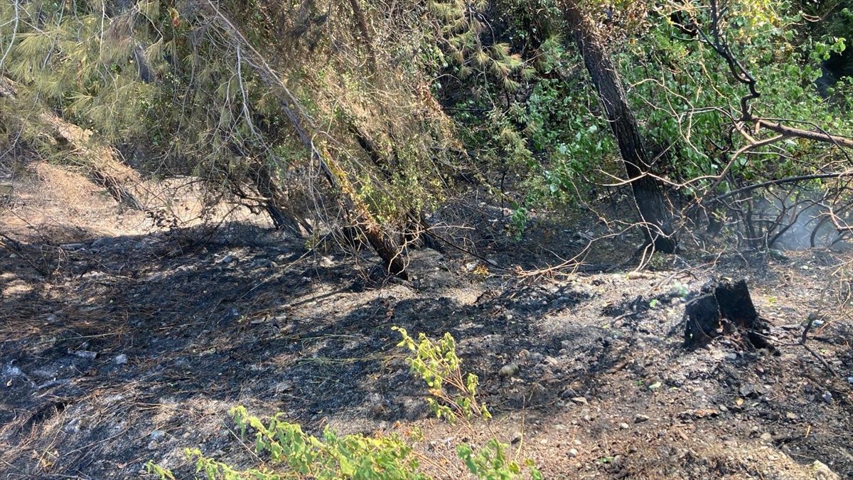 Hatay\'ın Dörtyol ilçesinde ormanlık alanda çıkan yangın söndürüldü