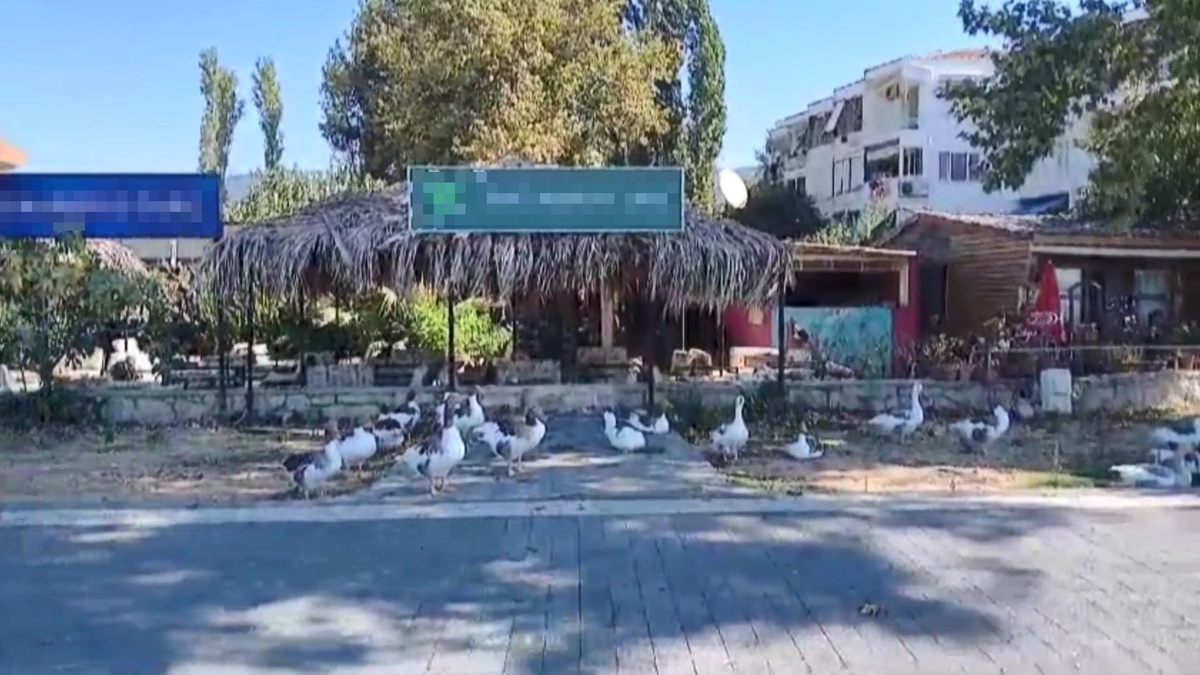 Balıkesir\'de Kafes Bahçesi Çiftliğe Döndü
