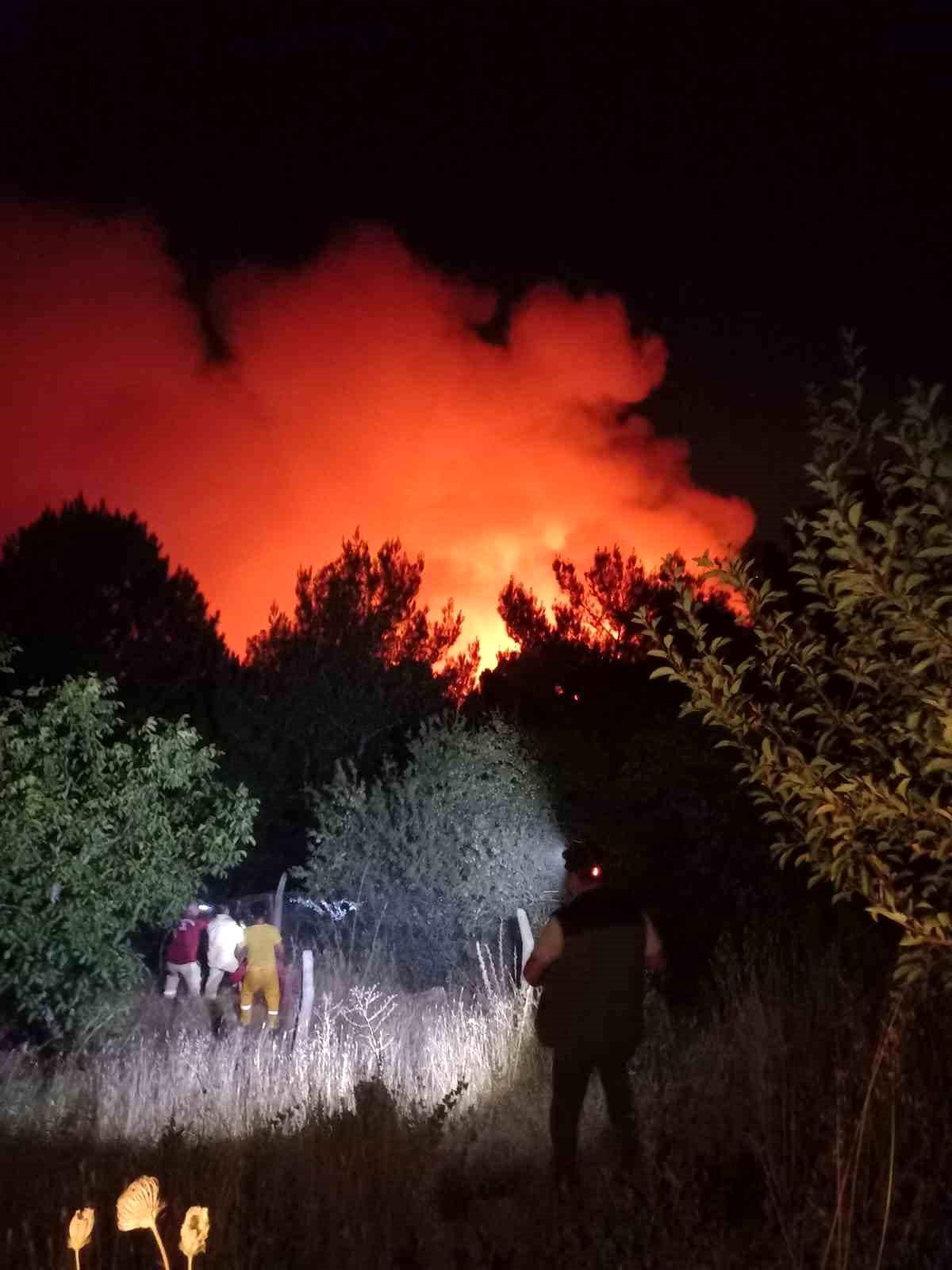 İzmir\'in Karşıyaka ilçesinde orman yangını çıktı