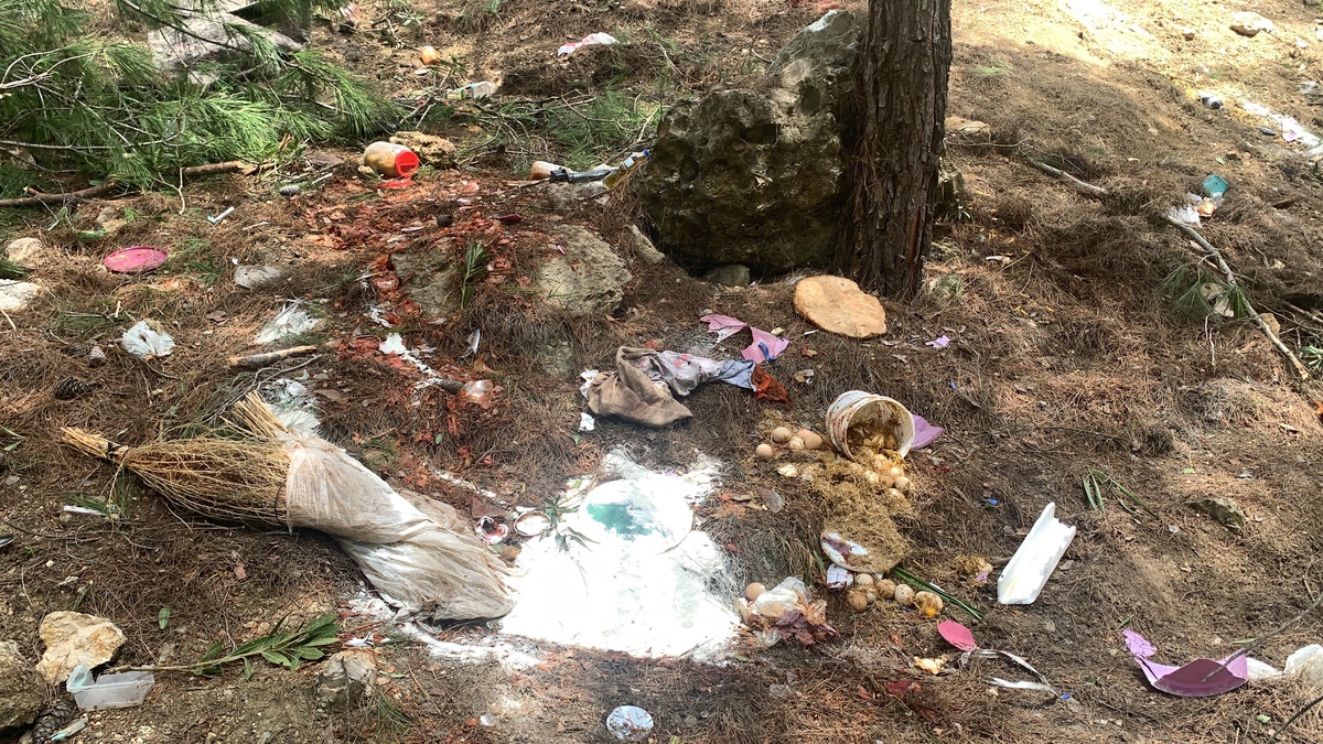 Adana\'da Tarım İşçilerini Taşıyan Minibüs Kazası: 4 Ölü, Sürücü Hakkında Dava Açıldı