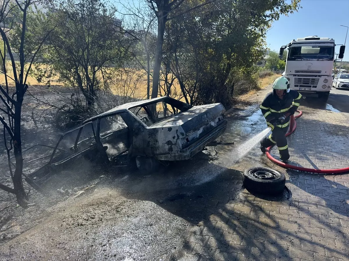 Bingöl\'de ağaçlara çarpan otomobildeki 2 kişi yaralandı