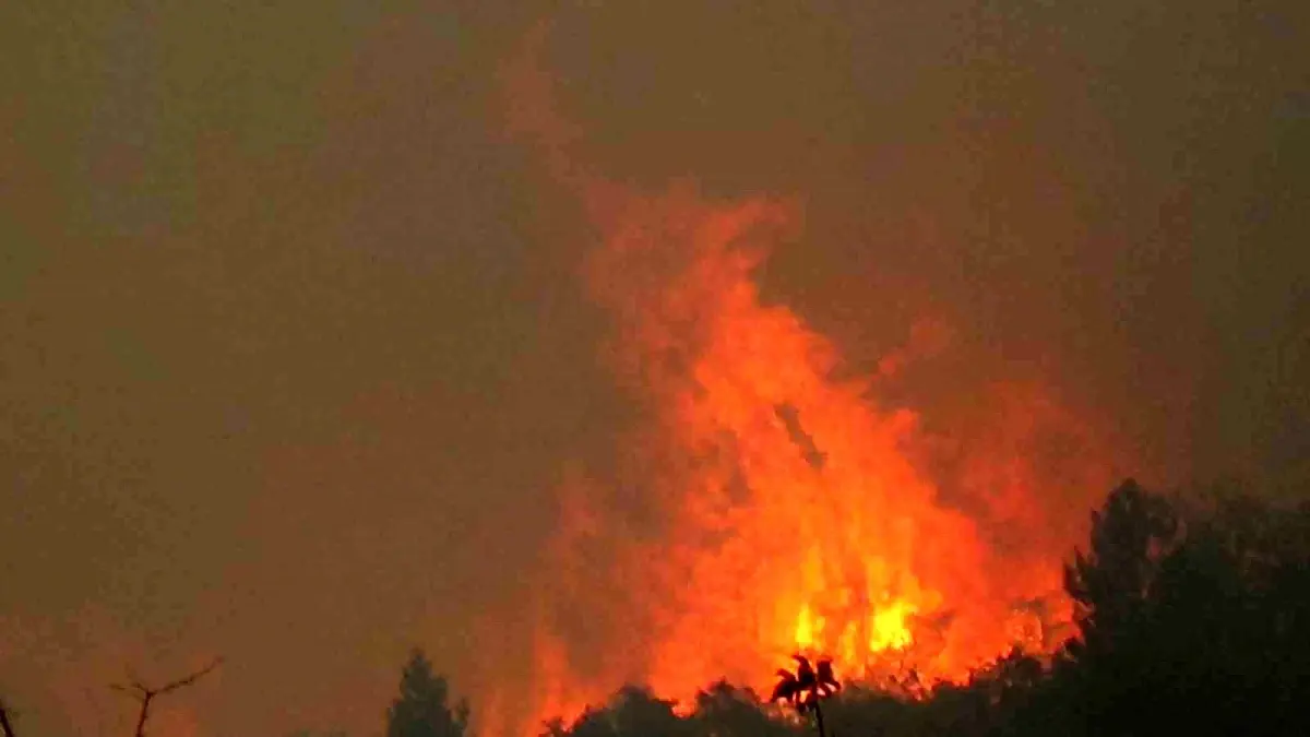 Bolu Göynük\'te Orman Yangını Sürüyor