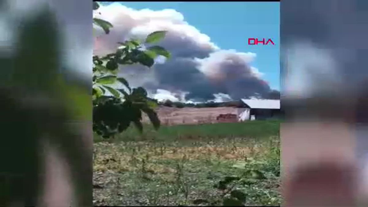 Bolu Göynük\'te Ormanda Çıkan Yangın Kontrol Altına Alınmaya Çalışılıyor