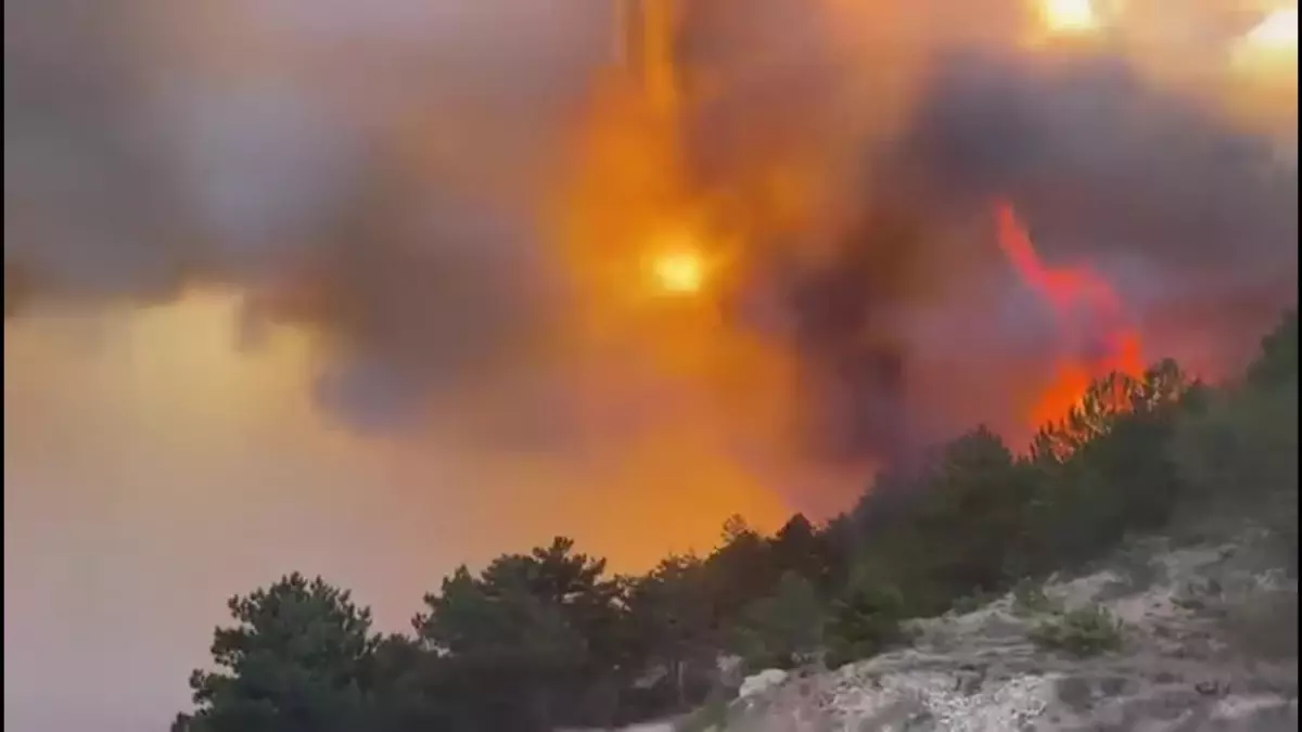 Bolu\'nun Göynük ilçesinde yangın çıktı