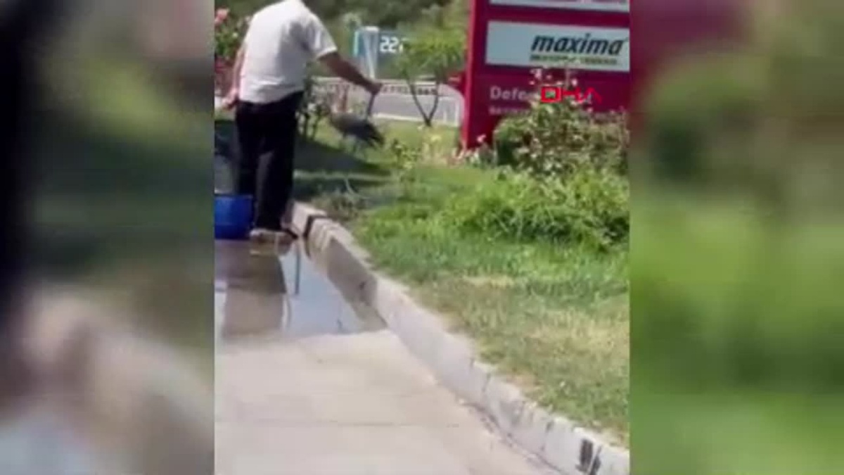 Akaryakıt istasyonunda serinletilen leylek