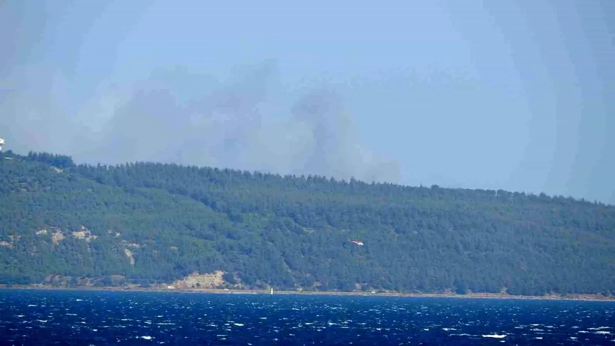 Çanakkale\'nin Eceabat ilçesinde orman yangını çıktı