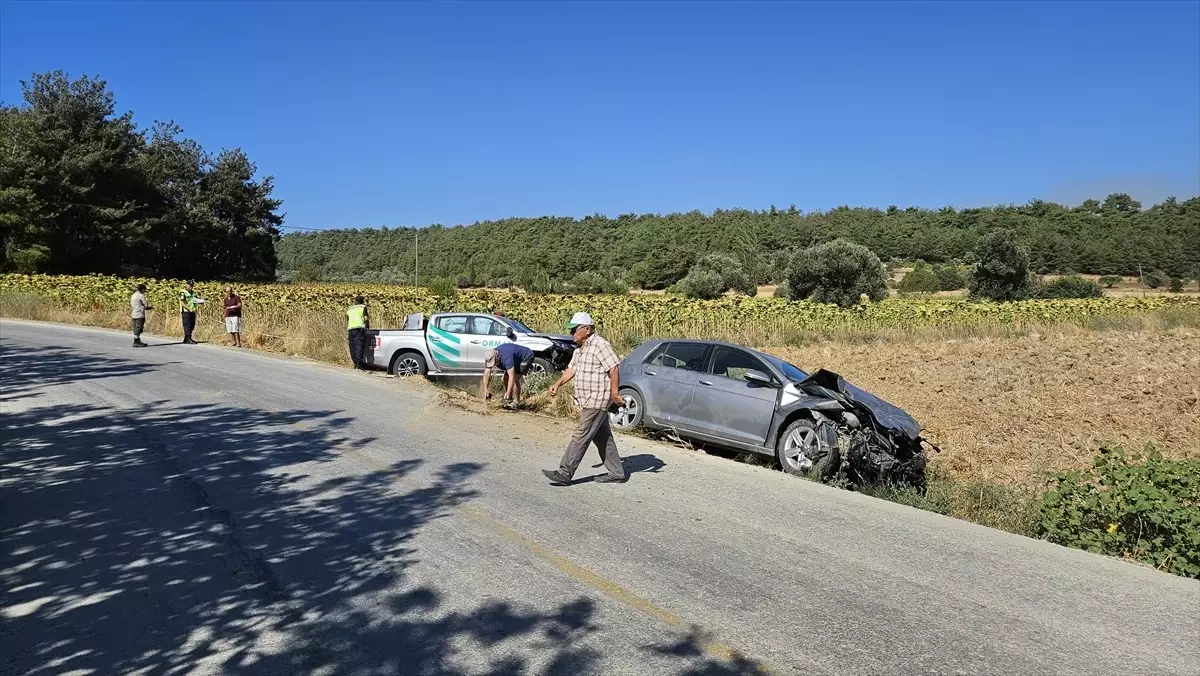 Çanakkale\'de Orman Yangını: Havadan ve Karadan Müdahale Devam Ediyor