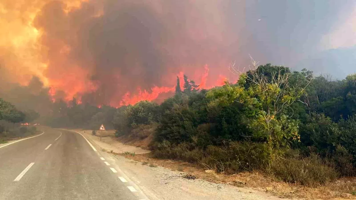 Çanakkale\'de Orman Yangını: Alevler Anzak Koyu Yoluna İndi