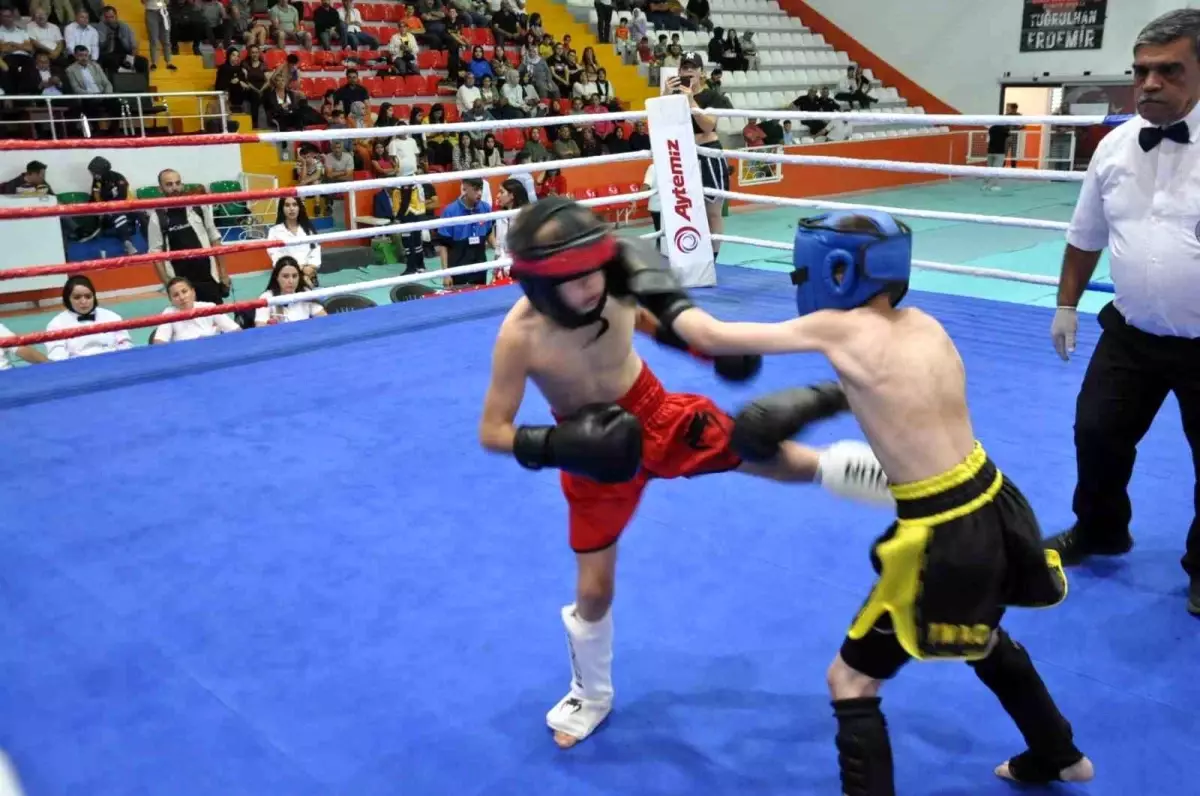 Kars\'ta Ani\'nin Fethi\'nin 960. Yıldönümü Kick Boks Karşılaşmaları