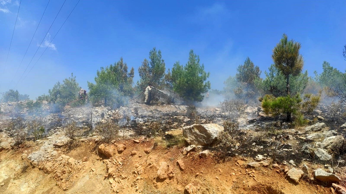 Silifke\'de Orman Yangınları Kontrol Altına Alındı