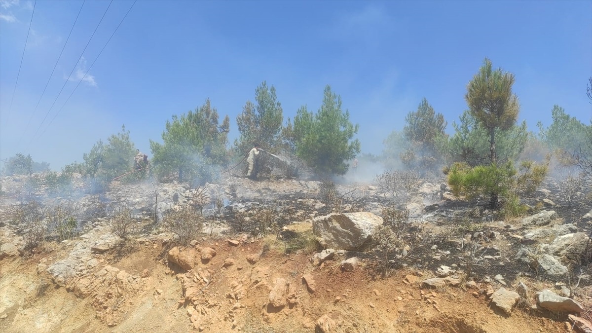 Silifke\'de 4 Ayrı Noktada Çıkan Orman Yangınları Söndürüldü