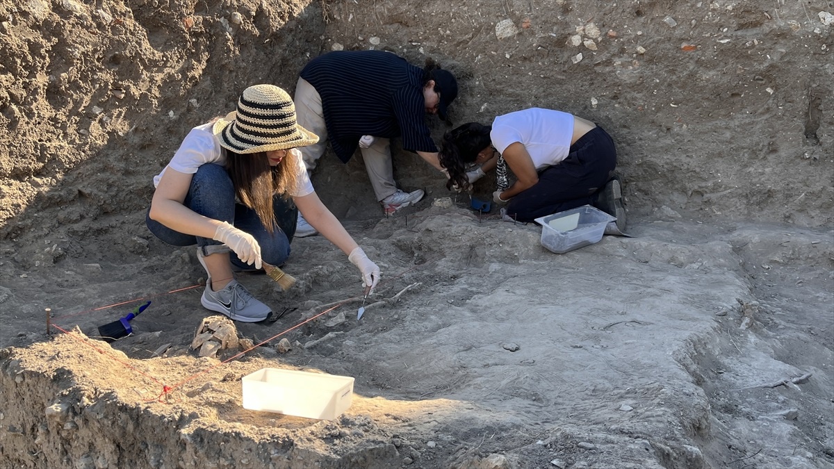 Troya Antik Kenti\'nde Son Troyalılara Ait İskeletler Bulundu