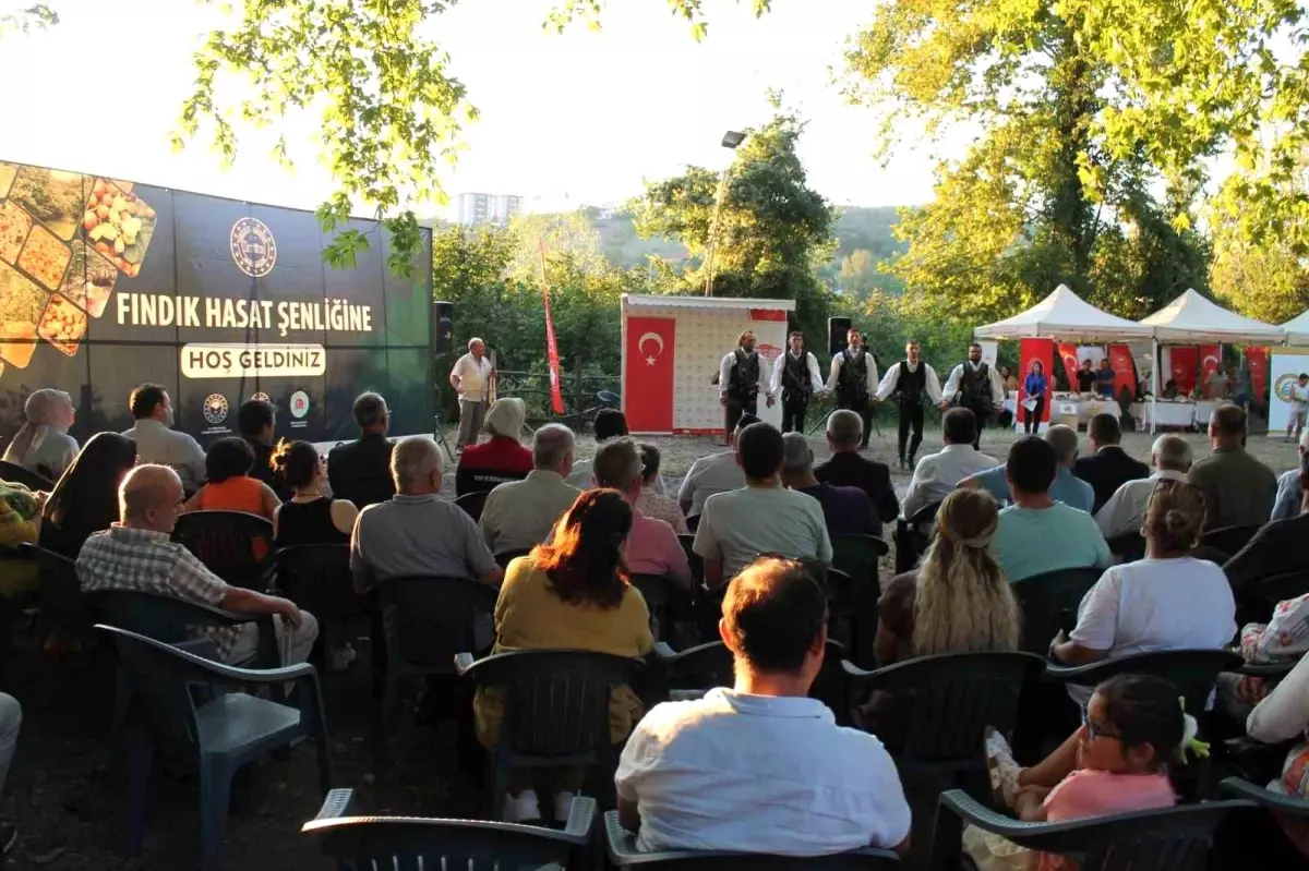 Düzce\'de Fındık Hasat Şenliği düzenlendi