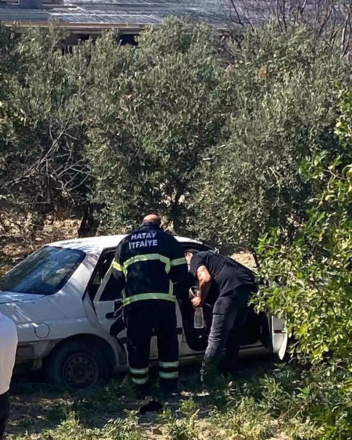 Hatay\'da zeytin bahçesine uçan otomobildeki 2 kişi yaralandı