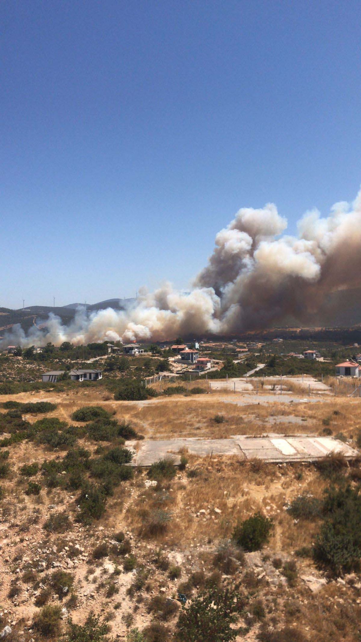 Didim\'de Makilikte Yangın Çıktı