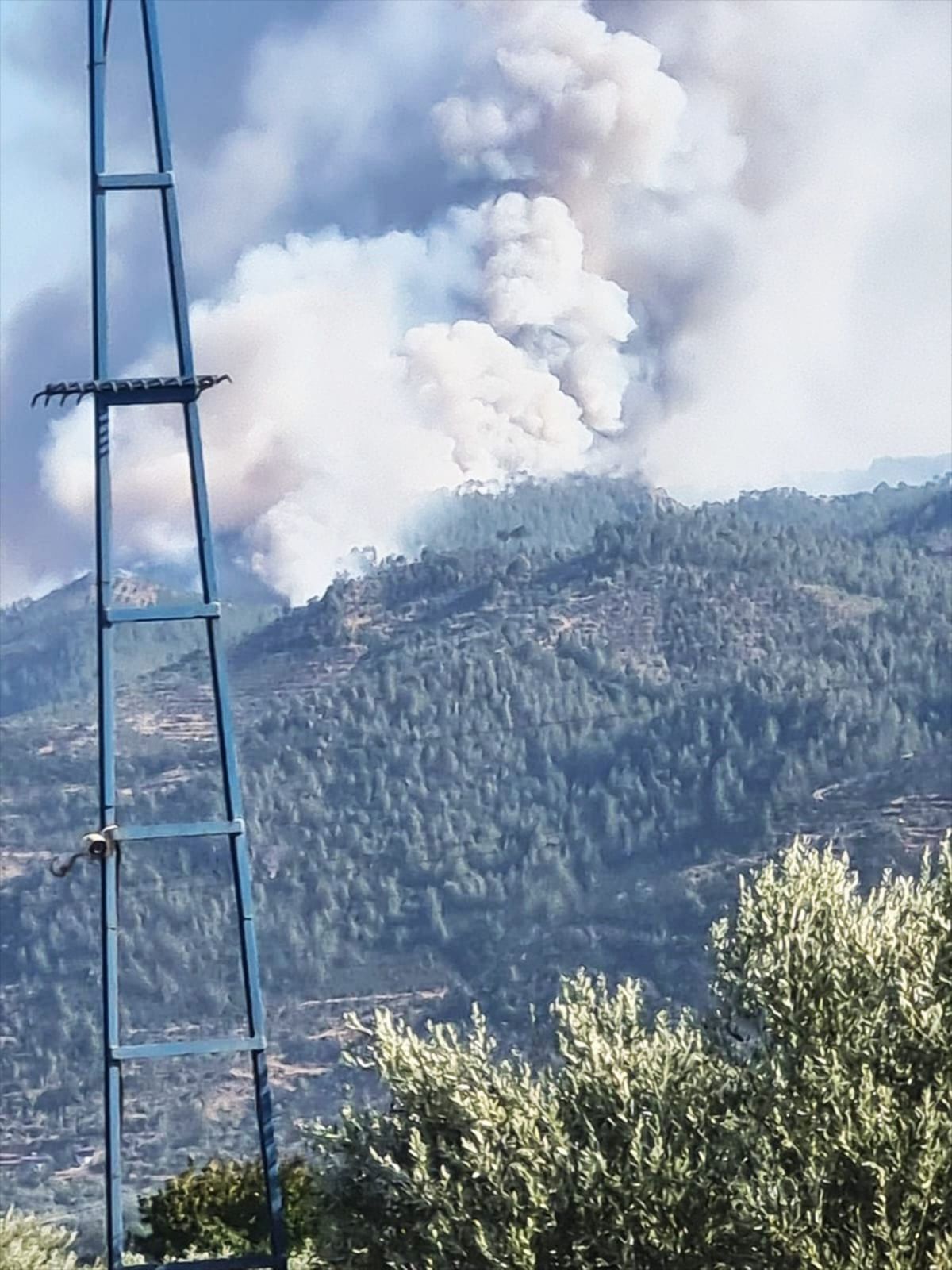 Aydın\'ın Bozdoğan ilçesinde orman yangını çıktı