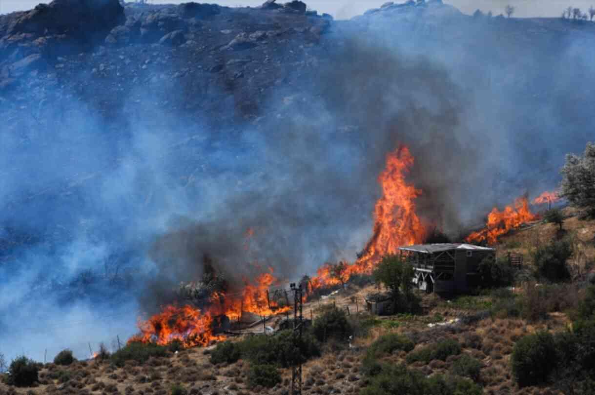 Bakan Yumaklı: İzmir'de 16 ev yandı, 87 ev ve 44 iş yeri tahliye edildi