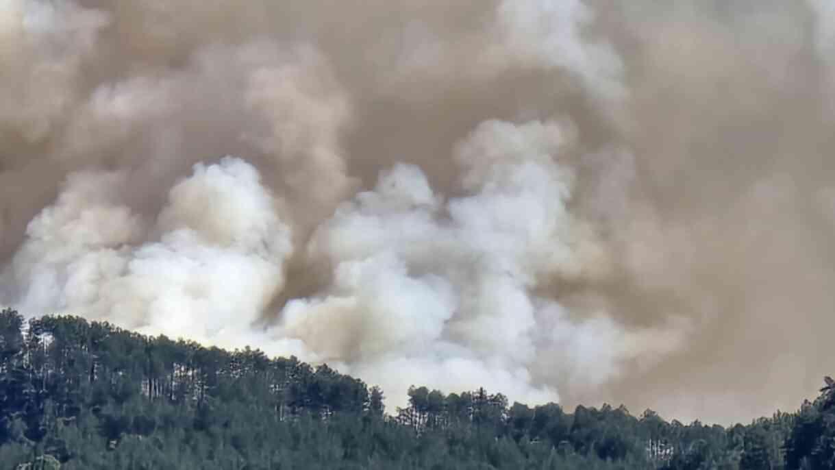 Bakan Yumaklı: İzmir'de 16 ev yandı, 87 ev ve 44 iş yeri tahliye edildi