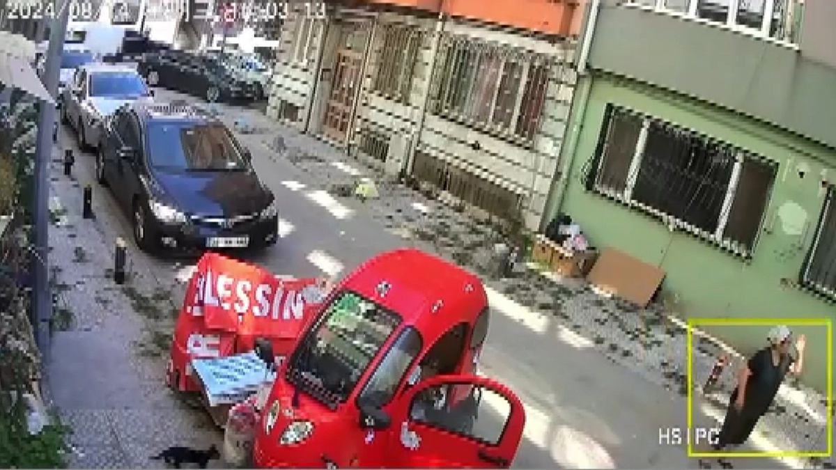 Bakırköy\'de Kedi Ezme Olayı