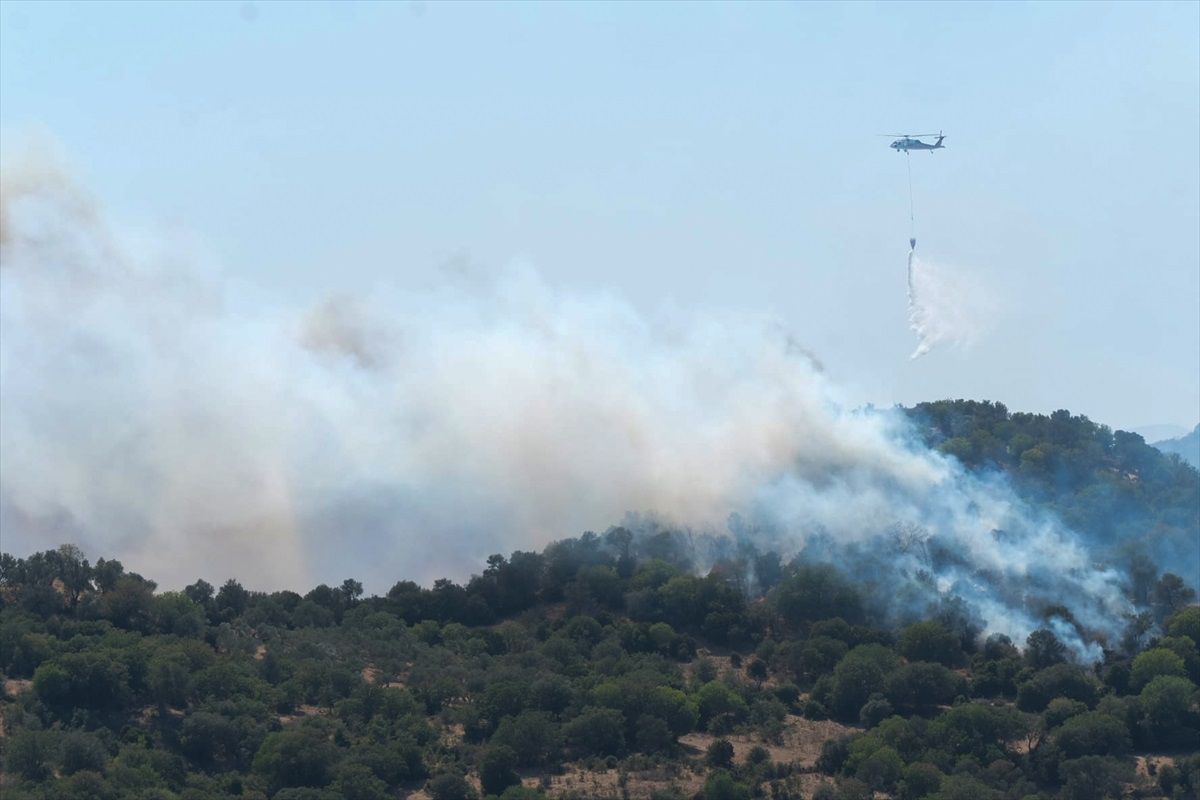 Muğla Bodrum\'da Makilik Alanda Başlayan Yangın Kontrol Altına Alınıyor