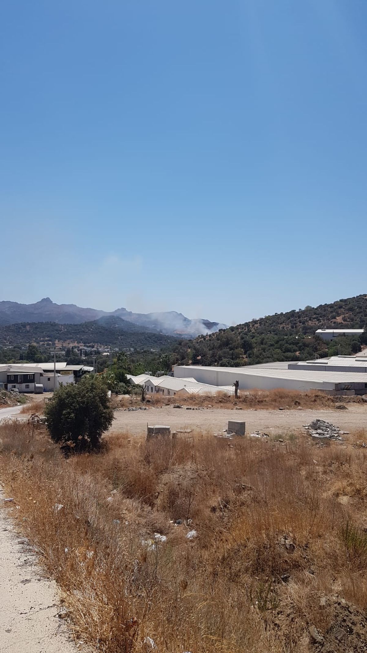 Bodrum\'da Makilik Alanda Yangın Çıktı