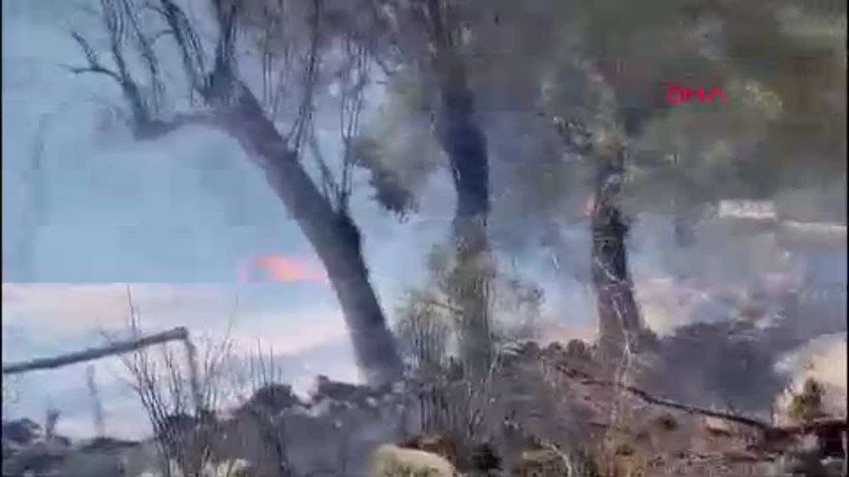 Bodrum\'da Makilik Alanda Yangın Çıktı