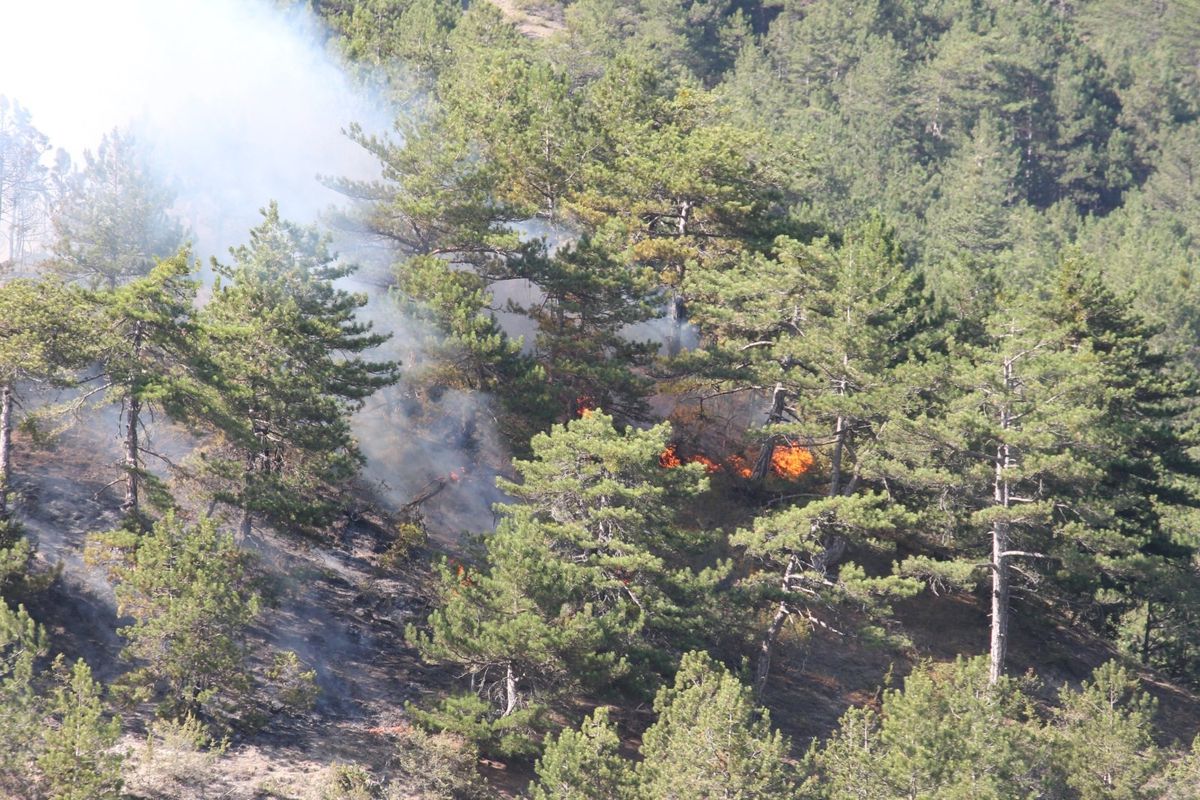 Bolu Göynük\'te 100 hektarlık orman yangınına müdahale sürüyor