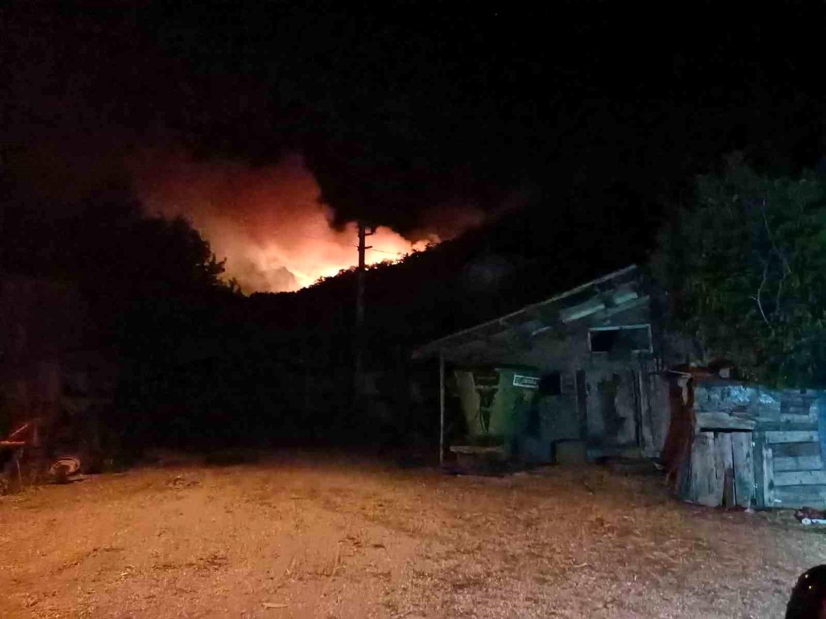 Bolu\'daki Orman Yangını 34 Saattir Sürüyor