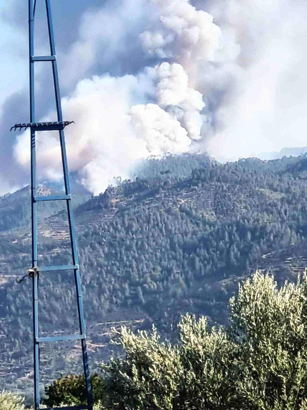 Aydın\'ın Bozdoğan ilçesinde ormanlık alanda yangın çıktı