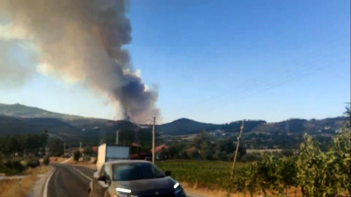 Aydın\'da çıkan yangın Muğla sınırlarına sıçradı