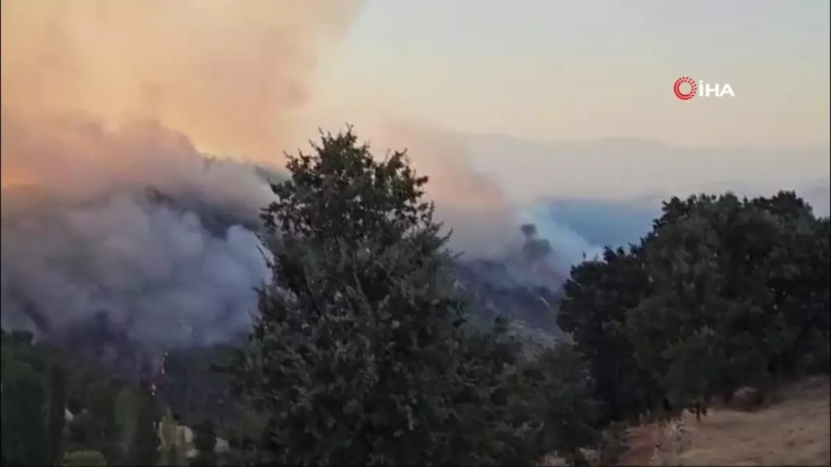 Bozdoğan yangınında yerleşim yerleri tahliye ediliyor