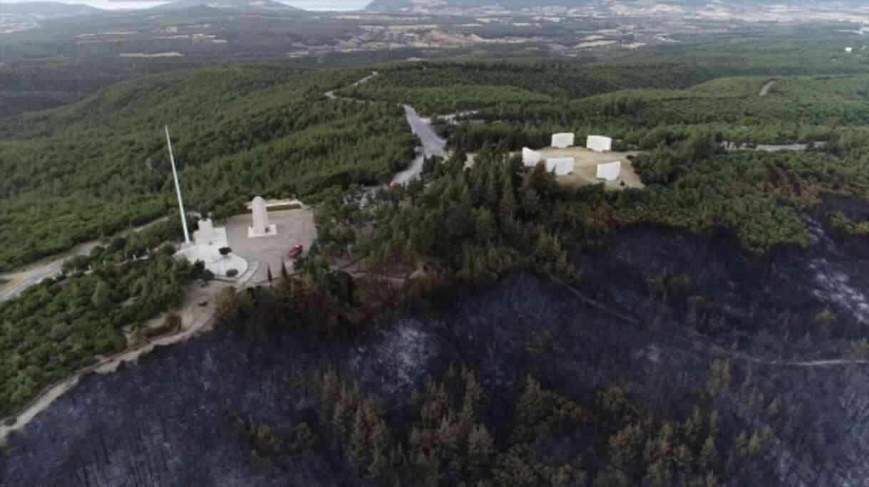 Çanakkale'de alevlerle mücadele sürüyor! Bir günde yaşanan kayıp gözler önüne serildi