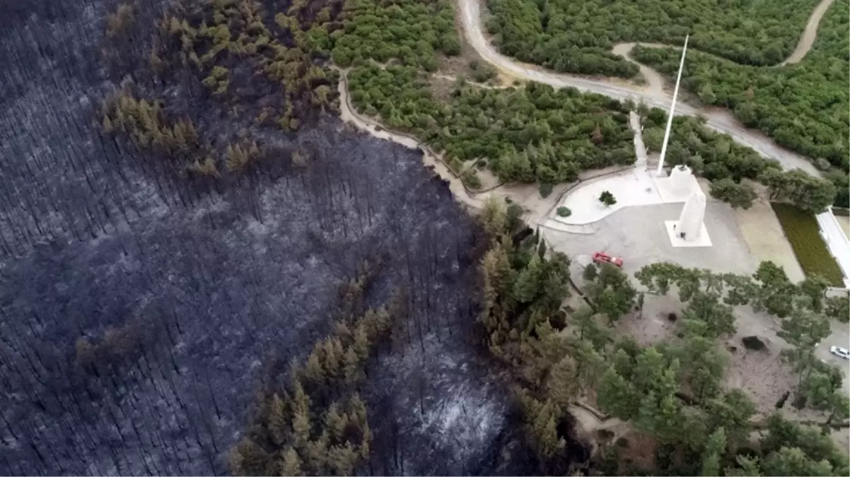 Çanakkale\'de orman yangını sonucu bir günde yaşanan kayıp gözler önüne serildi