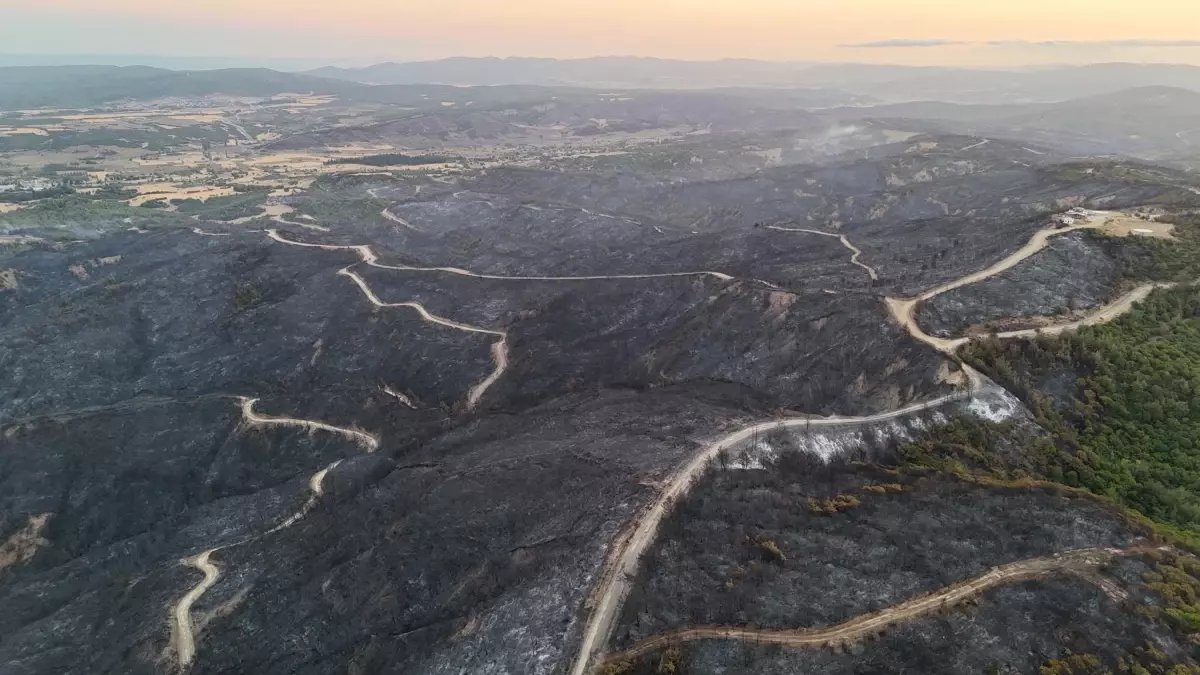 Çanakkale\'de çıkan orman yangınında Anzak Koyu ve Canterbury Mezarlığı zarar gördü