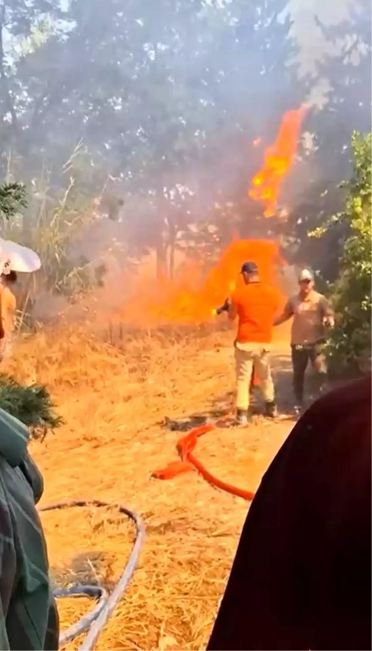 Manavgat\'ta çiftlikte çıkan yangın kontrol altına alındı