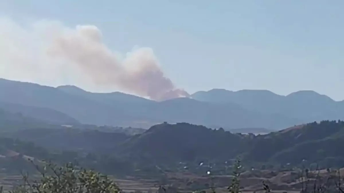 Çorum\'un Dodurga ilçesinde orman yangını söndürüldü