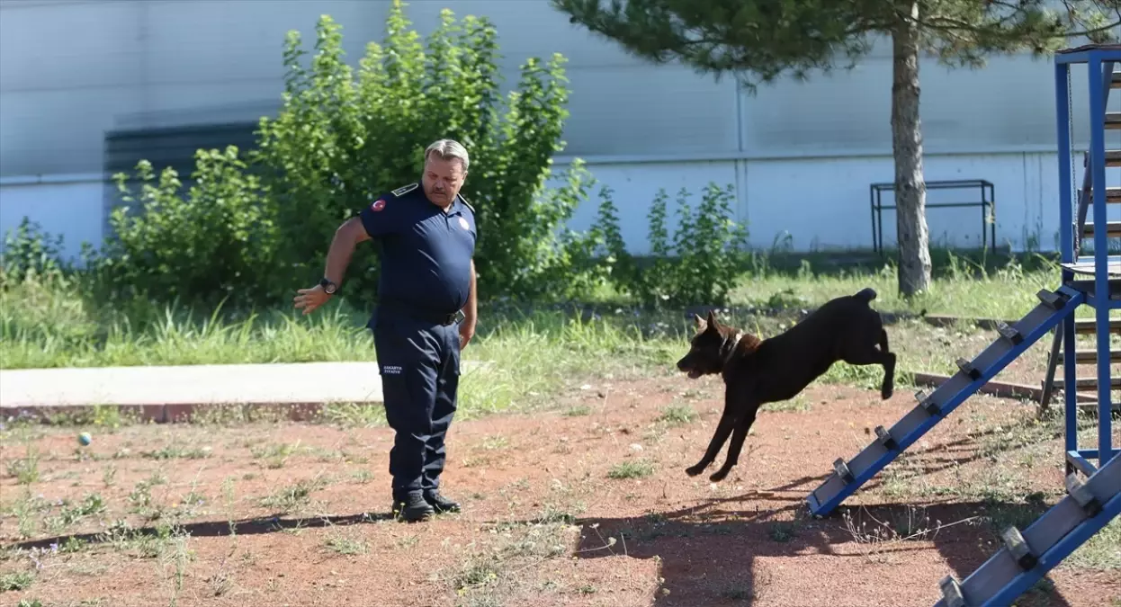 Depremde enkaz altından çıkan itfaiyeci, arama kurtarma köpekleriyle afetzedelere yardım ediyor