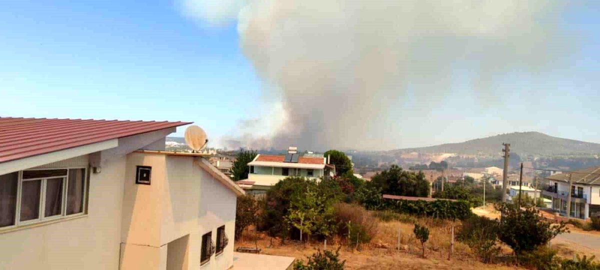 Aydın\'da Makilik Alanda Çıkan Yangına Havadan ve Karadan Müdahale Ediliyor
