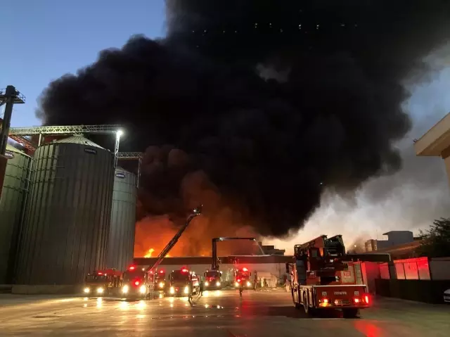 Gaziantep'te Halı Fabrikasında Yangın Çıktı