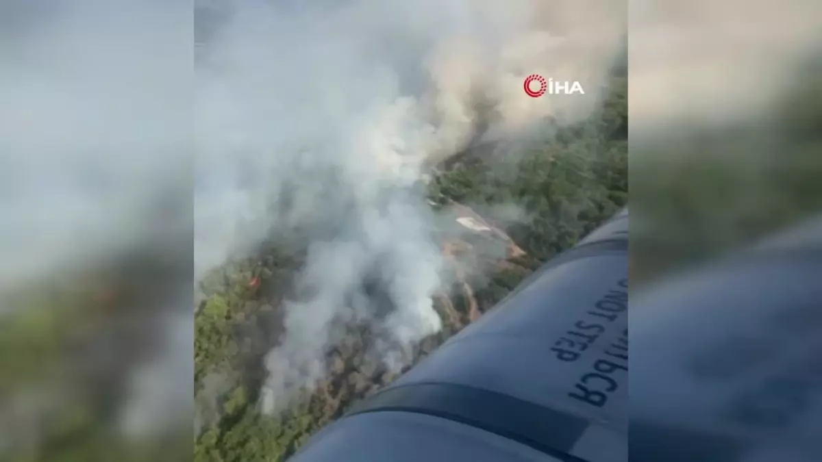 İzmir\'de bir orman yangını daha