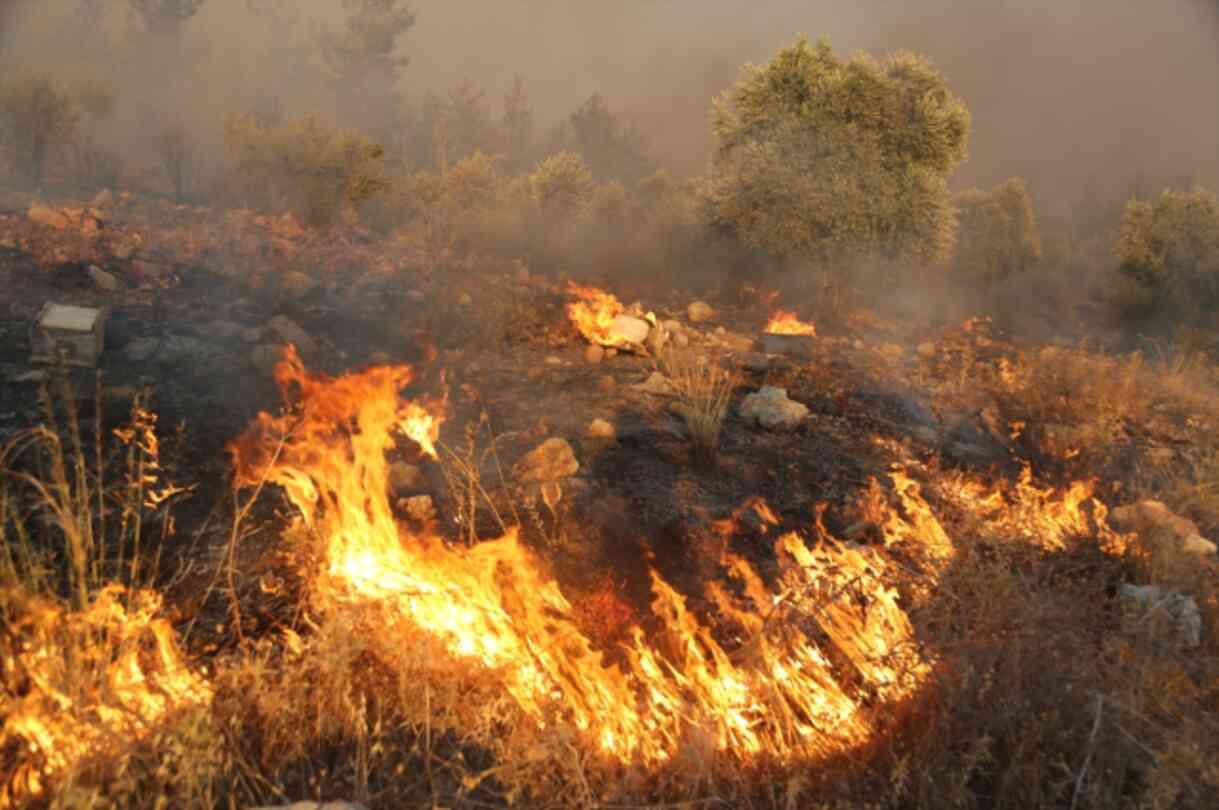 İzmir'deki yangında alevler binaların çatılarına sıçradı