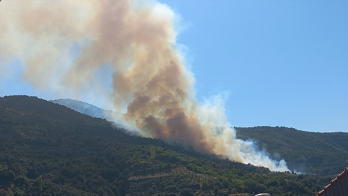 İzmir\'in Ödemiş ilçesinde ormanlık alanda yangın çıktı