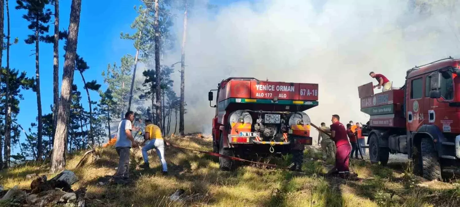 Karabük\'te çıkan yangınlara müdahale devam ediyor