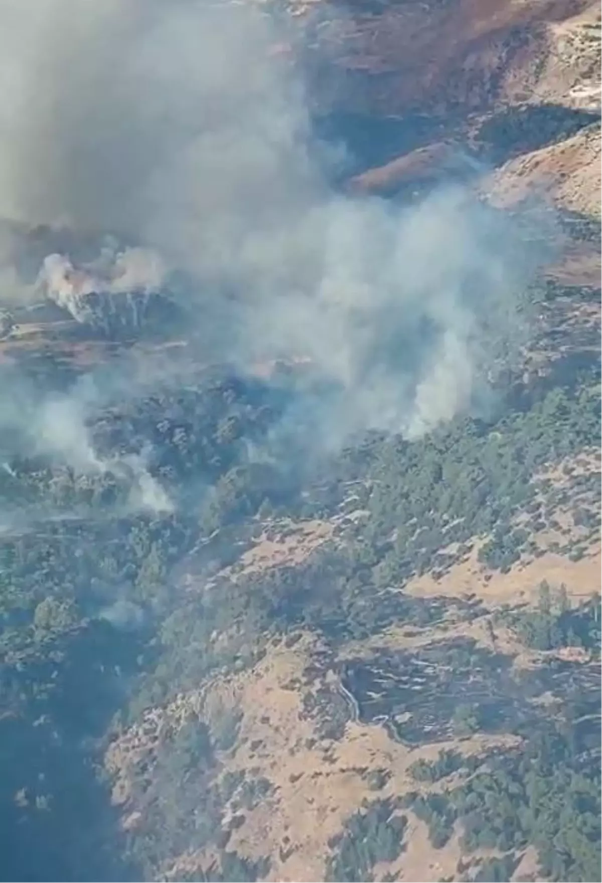 İzmir Karşıyaka\'da Yamanlar Dağı\'nda Yeni Orman Yangını