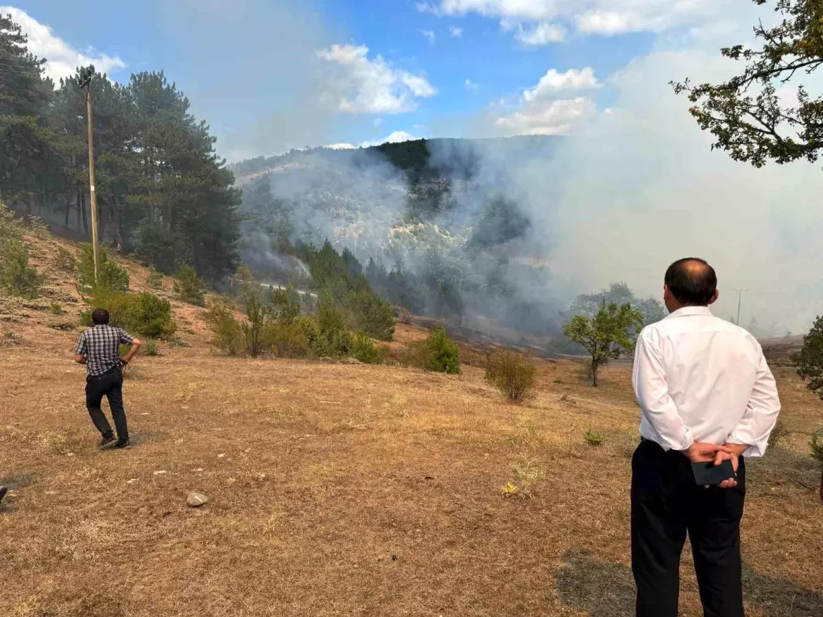 Kastamonu\'da Orman Yangını Söndürüldü