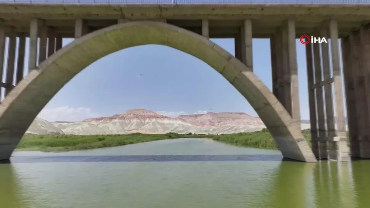 Kuşlar ekolojik tünel sayesinde daha rahat hareket ediyor