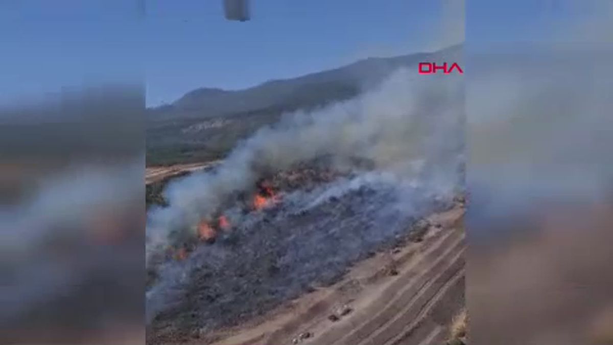 Manisa\'da bir orman yangını daha çıktı